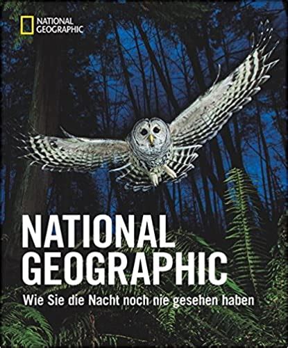  Fliedres Reisnudeln mit scharfem Ingwer: Sind diese Nudeln wirklich so unwiderstehlich scharf wie sie klingen?